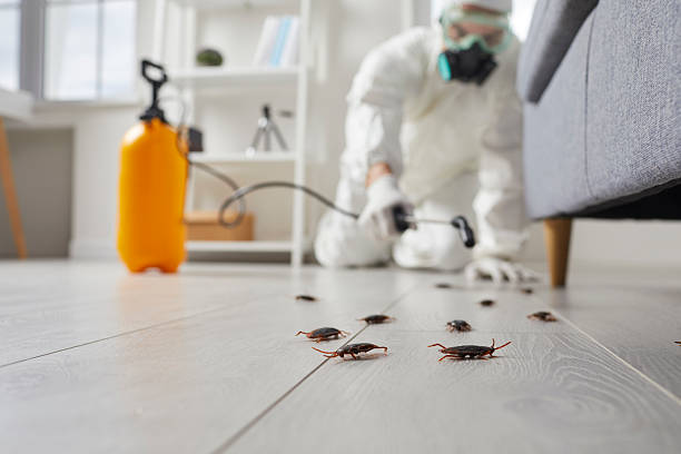 Trusted Termite Control service in Orofino, ID - Nex Pest Control