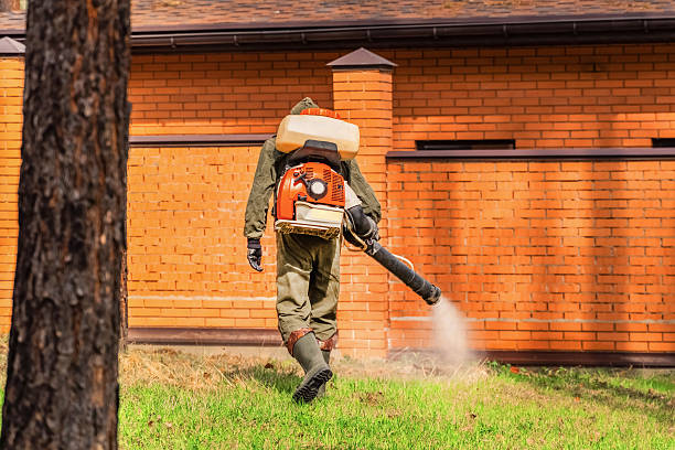 Trusted Rodent Control service in Orofino, ID - Nex Pest Control